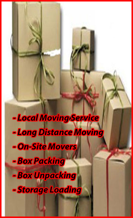 Packers And Movers Noida Sector 118